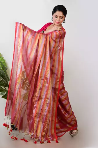Aakar multi colour handloom tissue saree