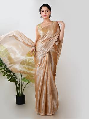 Aakar golden handloom tissue saree 2