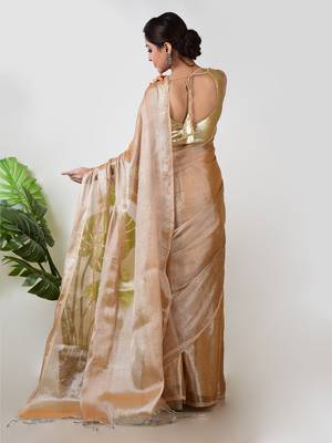 Aakar golden handloom tissue saree 4