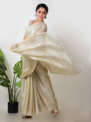 Aakar ivory handloom tissue saree 3