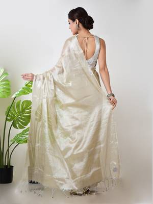 Aakar ivory handloom tissue saree 4