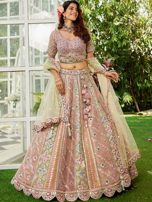 Multicolor Tissue Sequins and Threadwork Lehenga Choli 1