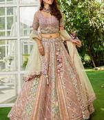 Multicolor Tissue Sequins and Threadwork Lehenga Choli