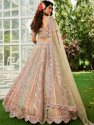 Multicolor Tissue Sequins and Threadwork Lehenga Choli 2