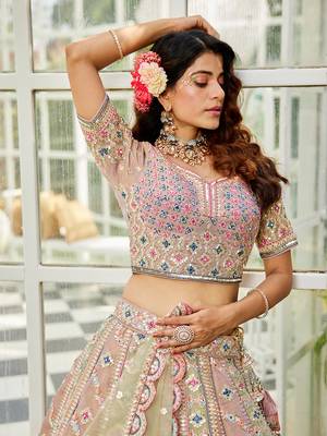 Multicolor Tissue Sequins and Threadwork Lehenga Choli 3