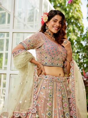 Multicolor Tissue Sequins and Threadwork Lehenga Choli 4