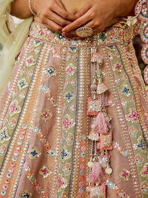 Multicolor Tissue Sequins and Threadwork Lehenga Choli 5