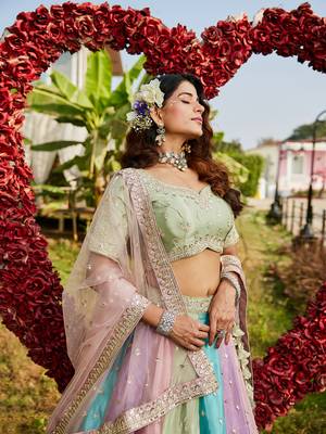 Multicolor Women Lehenga Choli for Women 4