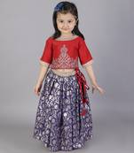 Red and blue zari embroidery lehnga set