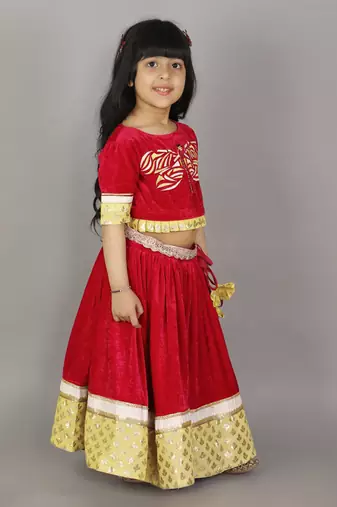 Pink velvet embroidered blouse with lehnga
