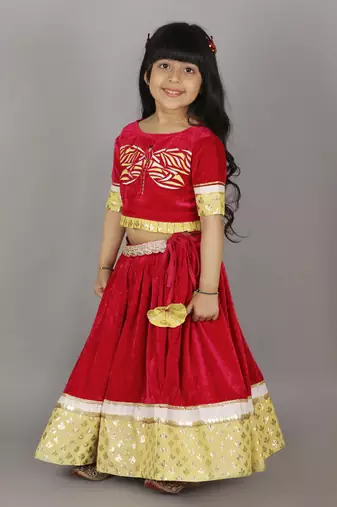 Pink velvet embroidered blouse with lehnga