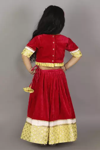 Pink velvet embroidered blouse with lehnga