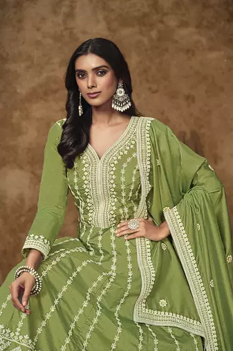 Green embroidered dola silk blend gown