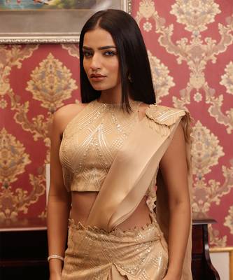 ready to wear auric emblazon auric saree set - neha garg 4