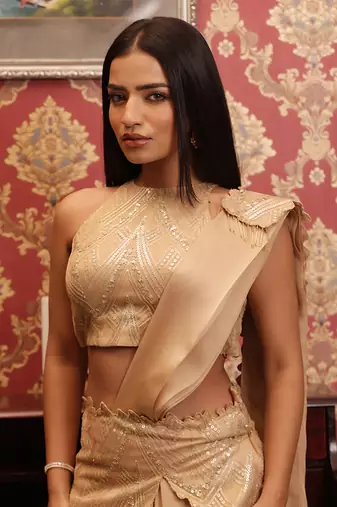 ready to wear auric emblazon auric saree set - neha garg