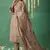 Beige pure organza embroidered salwar suit