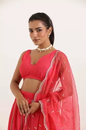 Fiery Rose Detailed lehenga choli Set