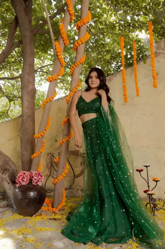 Green  Embroidered Net lehenga choli