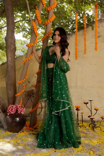 Green  Embroidered Net lehenga choli