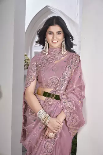 Pink tissue net c sequins work saree