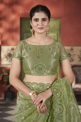 Green tissue net c sequins work saree