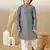 S printed grey kurta with sequins for boys