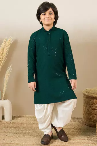 Boys designer chikankari & sequinned purple