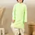 stylish chikankari embroidered light green kurta for boys