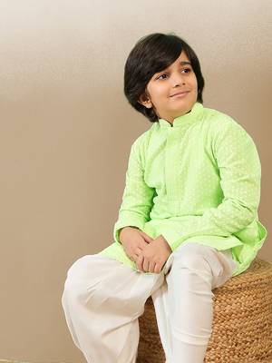 stylish chikankari embroidered light green kurta for boys 2
