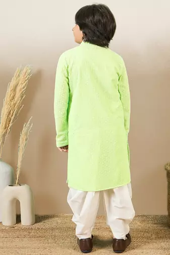 Stylish chikankari embroidered light green kurta set