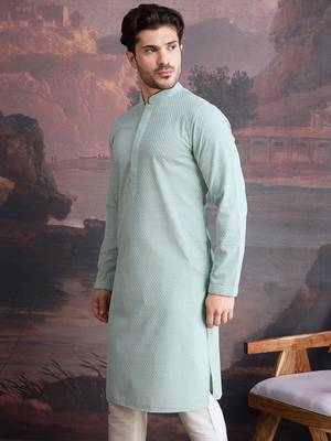 men's cotton chikankari stylish kurta in light green 4