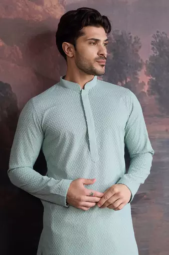 men's cotton chikankari stylish kurta in light green