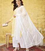 Hand Embroidered White Chiffon Lucknowi Chikankari Dupatta