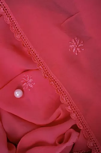 Hand Embroidered Carrot Pink Georgette Lucknowi Chikankari Dupatta