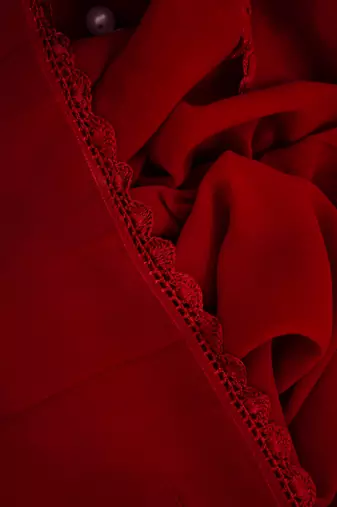 Hand Embroidered Red Viscose Georgette Lucknowi Chikankari Stole