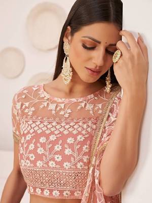 Pink Net Lehenga Choli with Dupatta 5