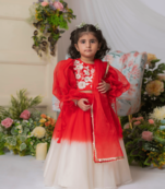 Red and white embroidered blouse with ghaghra and dupatta