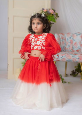 Red and white embroidered blouse with ghaghra and dupatta 2