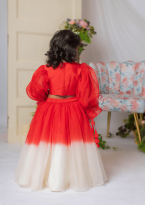 Red and white embroidered blouse with ghaghra and dupatta 3