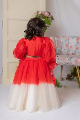 Red and white embroidered blouse with ghaghra and dupatta