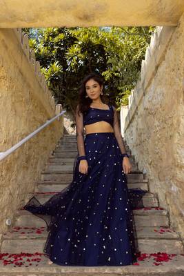 Navy Blue Net Sequins Embroidered Lehenga Choli 2