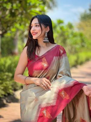 Woven design zari art silk banarasi saree 2