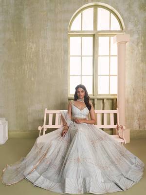 light grey sequins net lehenga set choli with dupatta 2