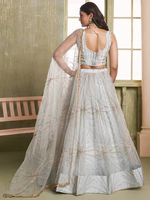light grey sequins net lehenga set choli with dupatta 5