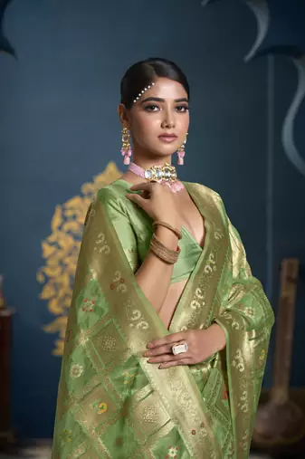 Designer green weaving zari border organa saree