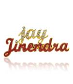 Brass gold red meena imitation diamond jain jai jinendra sareepin brooch