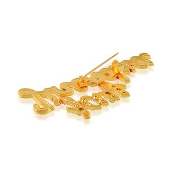 Brass gold red meena imitation diamond jain jai jinendra sareepin brooch 3