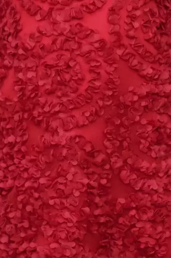 Net flower sleeveless stylish dress for girls - red