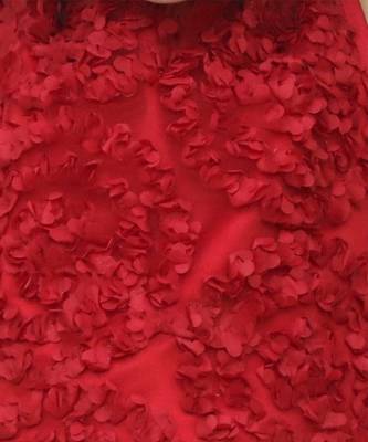 Net flower sleeveless stylish top with solid pant sets for girls - red 2