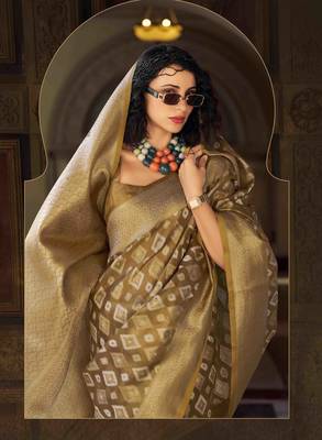 chiku tissue silk blend saree with unstitched blouse piece 2